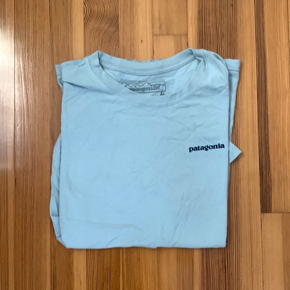 Patagonia Other - Patagonia Light Blue Short Sleeve Tee with Navy Logo